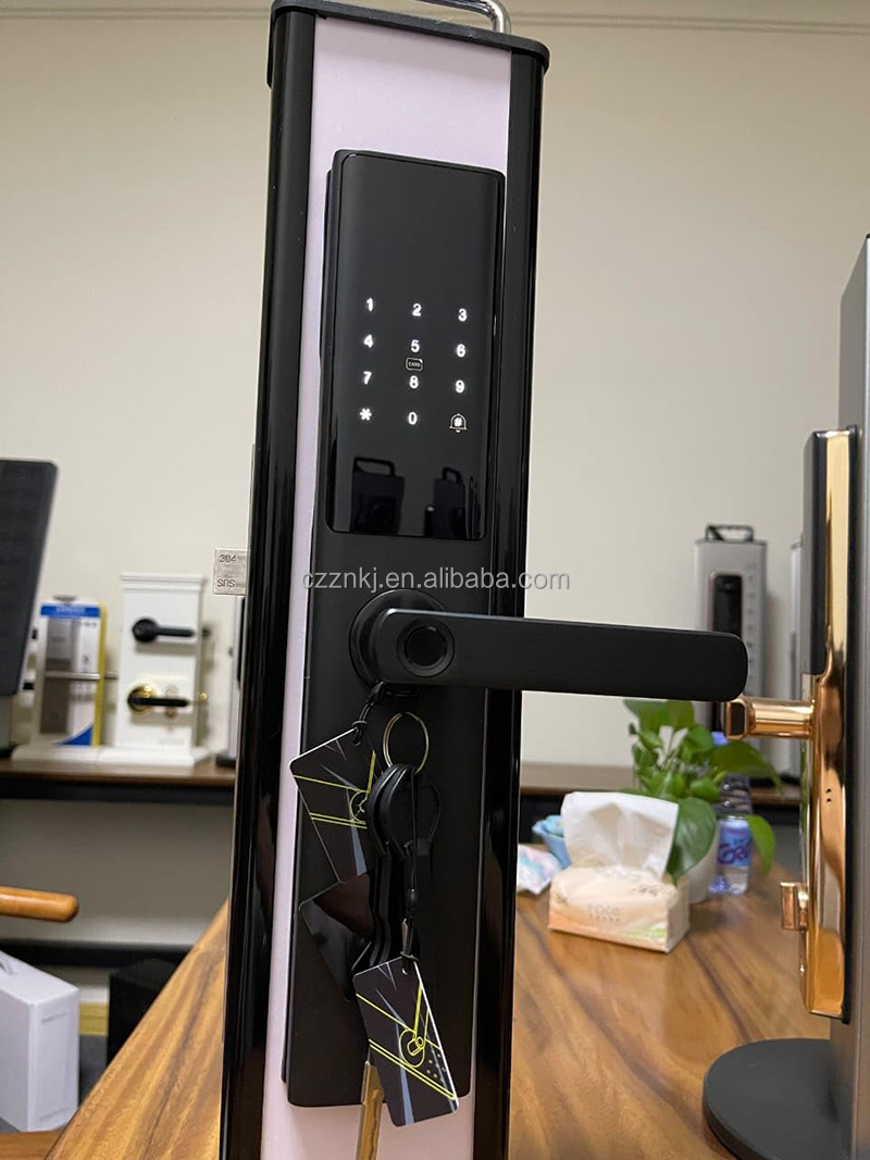 Digital Smart Door Lock WiFi High Security Gold Color Compatible Tuya App for Aluminum Memory Card Home Hotel Apartments Offices · image 6