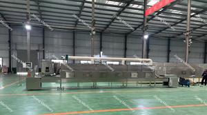 Stérilisateur Industriel à Micro-ondes à Fonctionnement Continu pour la Stérilisation et le Séchage de la Cannelle, des Épices, des Poudres et des Granulés - Product Image 5