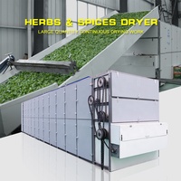 Machine de séchage automatique continue pour feuilles de laurier, sécheuse à feuilles de moringa, sécheuse à bande maillée pour feuilles de stévia, machine de séchage pour herbes