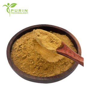 ผงน้ำดีหมู กรดน้ำดี 3% สารสกัดน้ำดีหมู CAS 8008-63-7 - Product Image 3