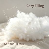 Matériau de rembourrage en coton PP pour coussin et oreiller, densité personnalisée, OEM ODM