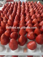 Fraises surgelées IQF de qualité supérieure, fraîches et les plus vendues, pour usage en restauration (vente en gros)