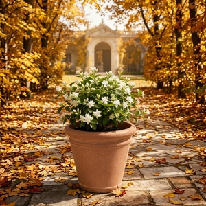 <span class=keywords><strong>Pot</strong></span> <span class=keywords><strong>de</strong></span> fleurs en plastique effet céramique, léger, grande taille, jardinière en PP pour les promotions saisonnières en détail - Product Image 1