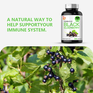 OEM Private Label 1000mg Organic Black Elderberry Supplement for Immune Support Boost Energy Elderberry Capsules - Product Image 3
