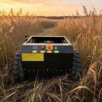 Tondeuse à gazon télécommandée YQ-G500 20 pouces, intelligente et robuste, pour pentes, avec radiocommande et broyeur à fléaux pour usage agricole