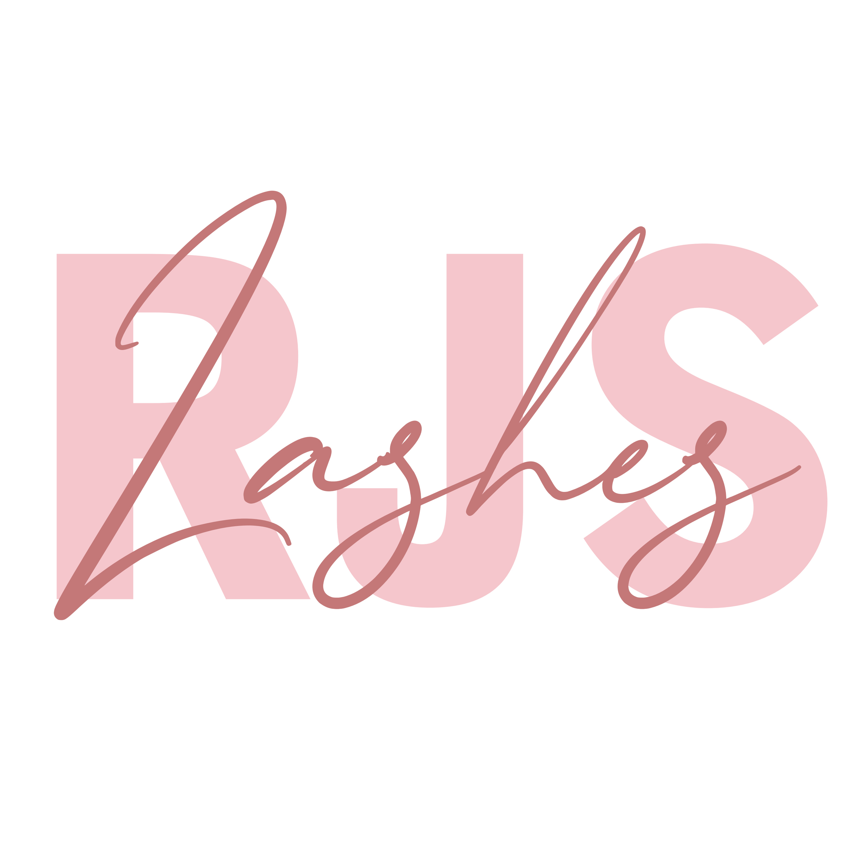 Shijiazhuang Ruijiesi Import And Export Trading Co., Ltd. logo