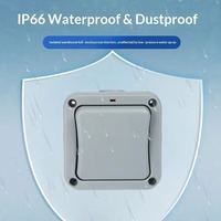 Boîtier de protection électrique extérieur IP65 étanche en PC avec interrupteur double commande 220V et voyant lumineux miniature à bouton-poussoir
