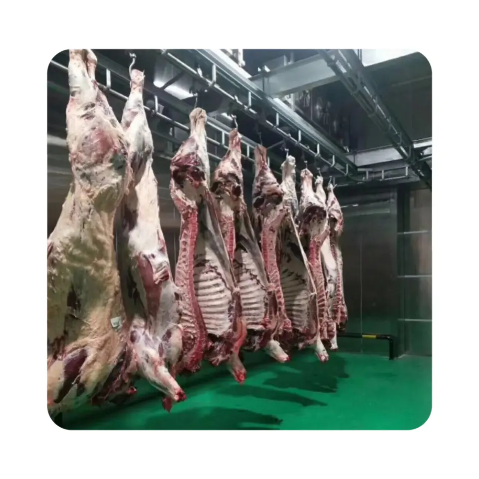 Production en usine de carcasses de bovins Rail de transport manuel Machine de traitement de la viande Machine d'abattage de bovins pour équipement de boucher