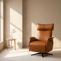 Promotion Chaise Fauteuil Inclinable Simple Moderne OEM ODM en Cuir Pleine Fleur et Tissu, Commande Manuelle et Tactile, pour Salon, Salle à Manger, Maison