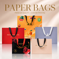 Bolsa de Regalo de Papel Impresa Personalizada al por Mayor con Forro de Esponja, Asa de Cinta, Elegante Bolsa de Compras CMYK para Boutique, Embalaje de Recuerdos