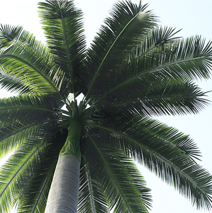 decoraciones de plástico verde de los árboles de <span class=keywords><strong>coco</strong></span> fecha hojas de palma Artificial Palma árbol hojas - Product Image 2