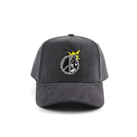 Casquette ajustable unisexe en coton Oxford avec logo brodé main personnalisé, en tissu Dobby Terry Poplin, visière incurvée, motifs Argyle, Léopard, Pois, Fruits