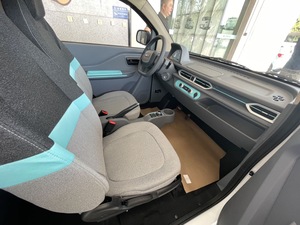 Petite voiture électrique, véhicule à énergie nouvelle, Cheetah Leopaard Mini Ev Car - Product Image 5