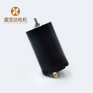 Cortador de carne de longitud de eje personalizado, reemplazo de Maxon <span class=keywords><strong>re</strong></span>, alta eficiencia, 24 voltios, motor de CC, 28mm - Product Image 4