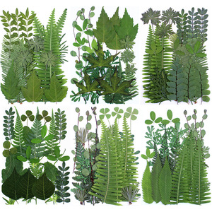 Fleurs séchées pressées pour la résine, <span class=keywords><strong>feuilles</strong></span> <span class=keywords><strong>de</strong></span> fleurs naturelles, <span class=keywords><strong>feuilles</strong></span> florales séchées en vrac pour l'artisanat DIY - Product Image 3