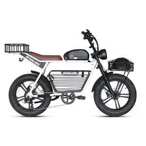 DYNALION 48V 750W 지방 타이어 먼지 성인 오토바이 슈퍼 모델 전기 자전거 가격 73 전기 레트로 자전거