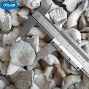 Cina HACCP BRC <span class=keywords><strong>IQF</strong></span> prodotto a base di funghi ostrica per neonati congelato - Product Image 3