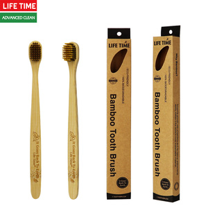 Cepillo de <span class=keywords><strong>Dientes</strong></span> de Bambú Biodegradable Ecológico Natural de Cabeza Ancha en <span class=keywords><strong>Caja</strong></span> de Kraft, Cepillo Dental Ecológico y Sostenible - Product Image 2