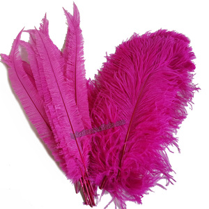 Menthe Naturel Plume Plumes D'autruche pour Fête Carnaval Maison Mariage Pièce Maîtresse De Noël Vase Vacances Décor DIY Artisanat Floral - Product Image 3