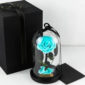 Eternity Mothers Day Gift Red Natural Rose Enchanted Eternity Infinity Eternal Flower Preserved Everlasting Forever Rose In Glass Dome