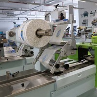 Machine d'emballage automatique multifonctionnelle pour oreillers et bougies
