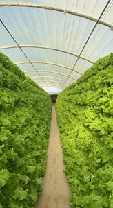 Производство и продажа пластиковых систем для беспочвенного выращивания растений методом гидропоники из ПВХ. - Product Image 3