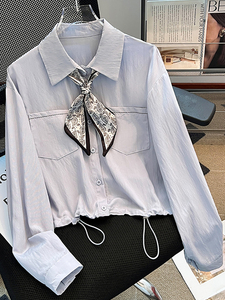 <span class=keywords><strong>Camicia</strong></span> da Donna Primavera 2026 Nuova Moda Elegante Casual Versatile con Sciarpa in Seta Manica Corta e Lunga - Product Image 3