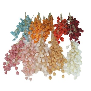 Fleurs artificielles Queyiyi, lanterne en forme de fruit d'étoile, 30cm-100cm, décorations de mariage, décoration de la maison, fleurs en soie faites à la main - Product Image 5