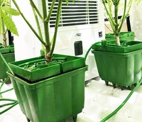 Pot carré en plastique vert de 4 pouces pour hydroponie, avec couvercle anti-goutte