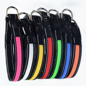 USB-Aufladbares Leuchtendes Hundehalsband Verstellbares Halsband Mit Schalter Bedruckbares Logo Und Anhänger für Nachthundeausflüge - Product Image 5