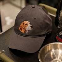 Gorra de Béisbol Personalizada con Bordado, Gorra Trucker Ajustable, Logotipo Bordado, Diseño Impreso, Venta al Por Mayor