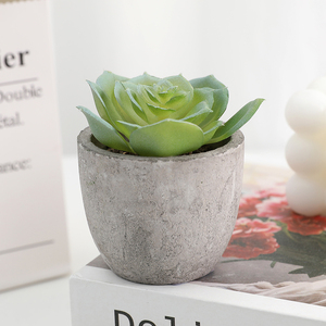 Duofu Home Mesa decoración <span class=keywords><strong>flores</strong></span> plantas suculentas artificiales al por mayor Mini adornos - Product Image 3