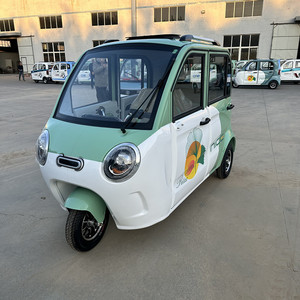 Electric 24V <b>2</b> <b>Passenger</b> Closed Mini Tricycle Three Wheels Brushless Motor Lead-acid Battery 50-60km/h Speed - Product Image 3