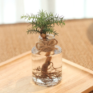 Meixuan, pot de fleurs moderne, simple et créatif, en plastique PP, écologique, chromé, transparent, roses vertes, petit pot hydroponique - Product Image 3