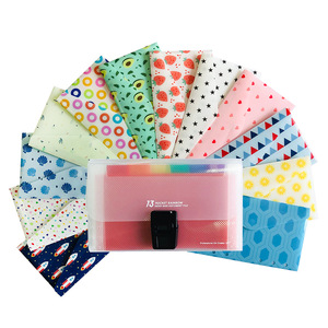 Portefeuille en plastique A6 12 feuilles budgétaires de <span class=keywords><strong>suivi</strong></span> des dépenses Enveloppes en plastique avec dossiers extensibles - Product Image 1