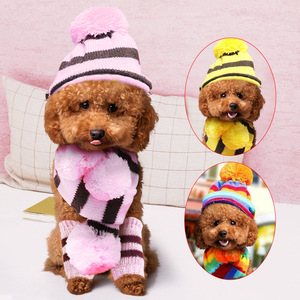 Pet automne hiver chat Teddy chiot Costume accessoires vêtements arc-en-ciel trois pièces ensemble chien écharpe pied couverture chien chapeau - Product Image 1