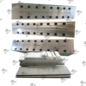 Matriz de Extrusión para Cobertizos de Tablero Hueco, para Máquina de Extrusión de Muebles de PP, Origen TianRui Mould - Product Image 3
