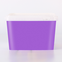 Seau à biscuits 3100ml IML avec poignée en plastique Récipient carré en plastique 3L