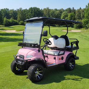 Voiture <span class=keywords><strong>de</strong></span> <span class=keywords><strong>golf</strong></span> électrique rose à 4 places avec accélération douce et luxueuse, feux combinés à LED pour les complexes hôteliers haut <span class=keywords><strong>de</strong></span> gamme et les terrains <span class=keywords><strong>de</strong></span> <span class=keywords><strong>golf</strong></span> - Product Image 5