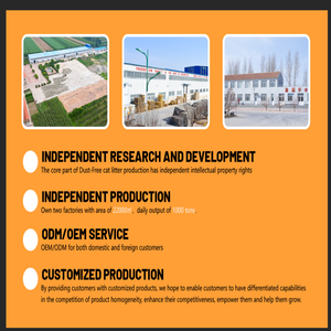 Fournisseur d'usine ODM/OEM de litière super agglomérante sphérique en sable de bentonite - Product Image 2