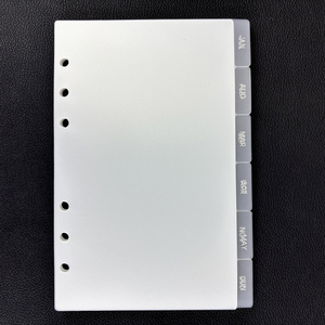 ตัวแบ่งแท็บแผ่นฟอยล์สีเงินแบบกำหนดเองได้แถบพลาสติกใส12แท็บตัวแบ่งการวางแผน<span class=keywords><strong>ราย</strong></span><span class=keywords><strong>เดือน</strong></span>ตัวแบ่งแผนบรรจุภายในหน้า PP สำหรับตัวยึด - Product Image 2