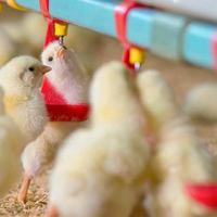 Contrôleur de température et d'humidité IoT HENGKO pour l'agriculture intelligente, thermostat d'ambiance haute sensibilité pour serre