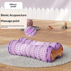 Rouleau de massage magnétique double rangée pour la relaxation des pieds, le drainage des plantaires et l'entraînement des pieds plats - Product Image 6
