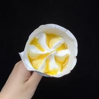 Helado de Frutas Crujiente al por Mayor Directo de Fábrica, Helado de Múltiples Sabores de Frutas, Cono de Waffle, Fabricante de Helados Congelados