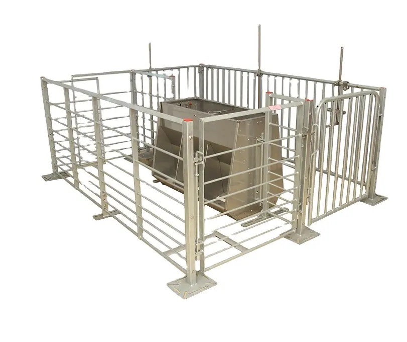 2023 China New Pig Farm Automation Pig Feeder Fence For Sale