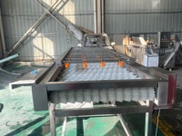 Hoogwaardige reinigingsmachine voor groenten en fruit, aardappelen, wortelen en cassave