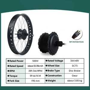 Kit de conversion de vélo électrique à pédalage assisté avec moteur double moyeu 500W, batterie au lithium, écran LCD étanche, axe traversant et roue arrière en plastique pour pneu large - Product Image 4