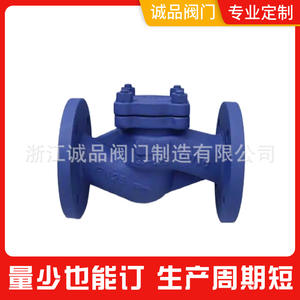 Válvula de Retención de Brida Tipo Elevador H41H-16 con Estructura de Fuelle en Acero Fundido o Acero Inoxidable para Medios de Aceite, Agua y Gas - Product Image 3