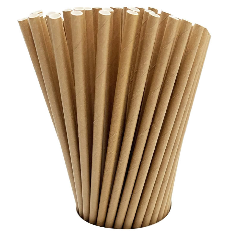 Recyclable Kraft Biodegradable Paper Straws Eco-Friendly Drinking Straws Weddings Bulk Supply Bridal/Baby Shower Birthday Mixed