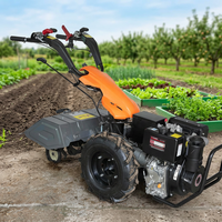 Motoculteur rotatif à moteur certifié CE BCS pour agriculteurs